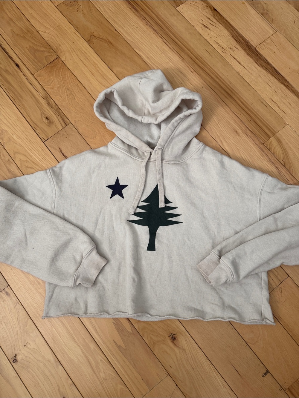 Ivory Cropped Hoodie with Tree & Star Graphic
